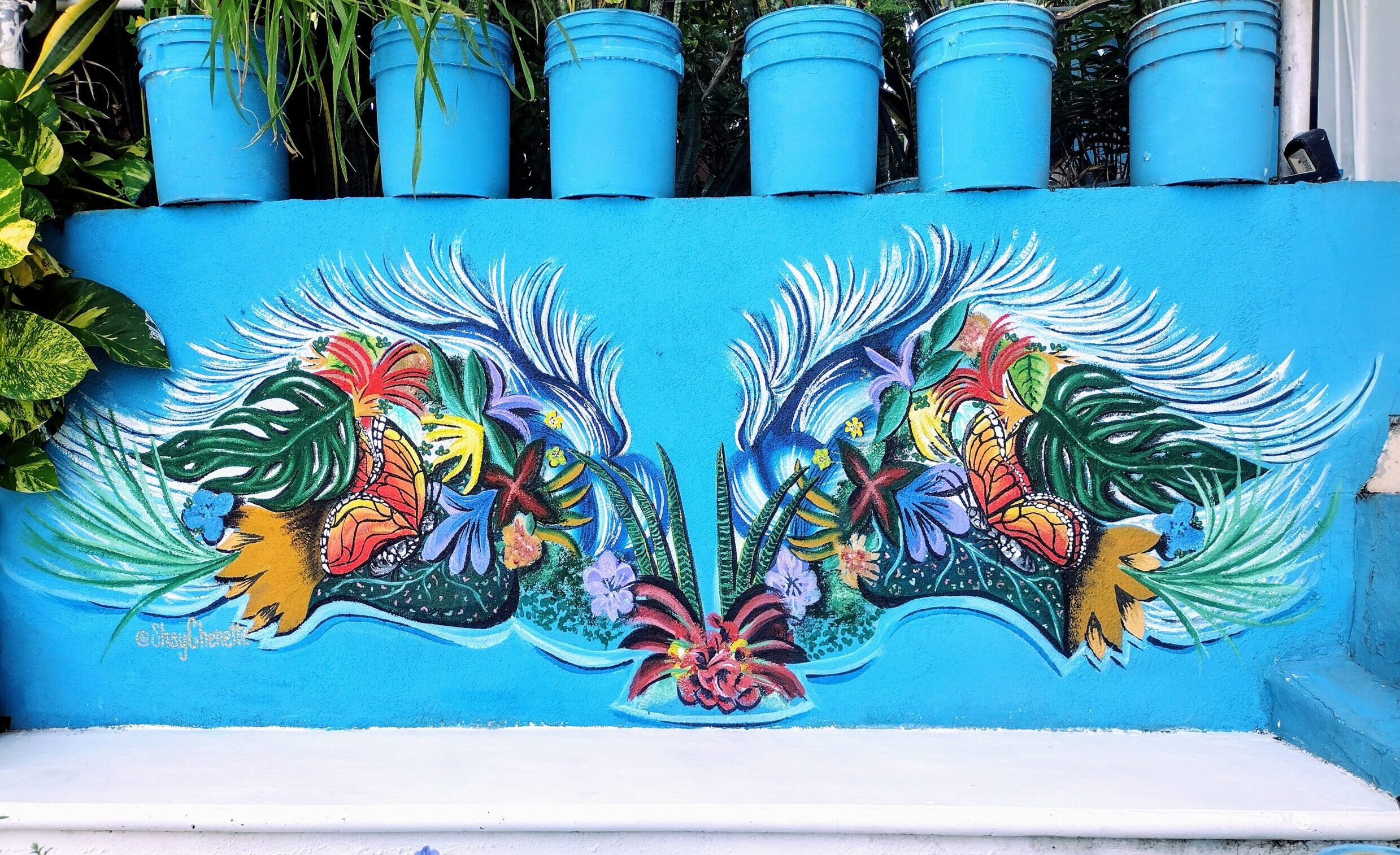 Casa La Vida Es Bella I mural