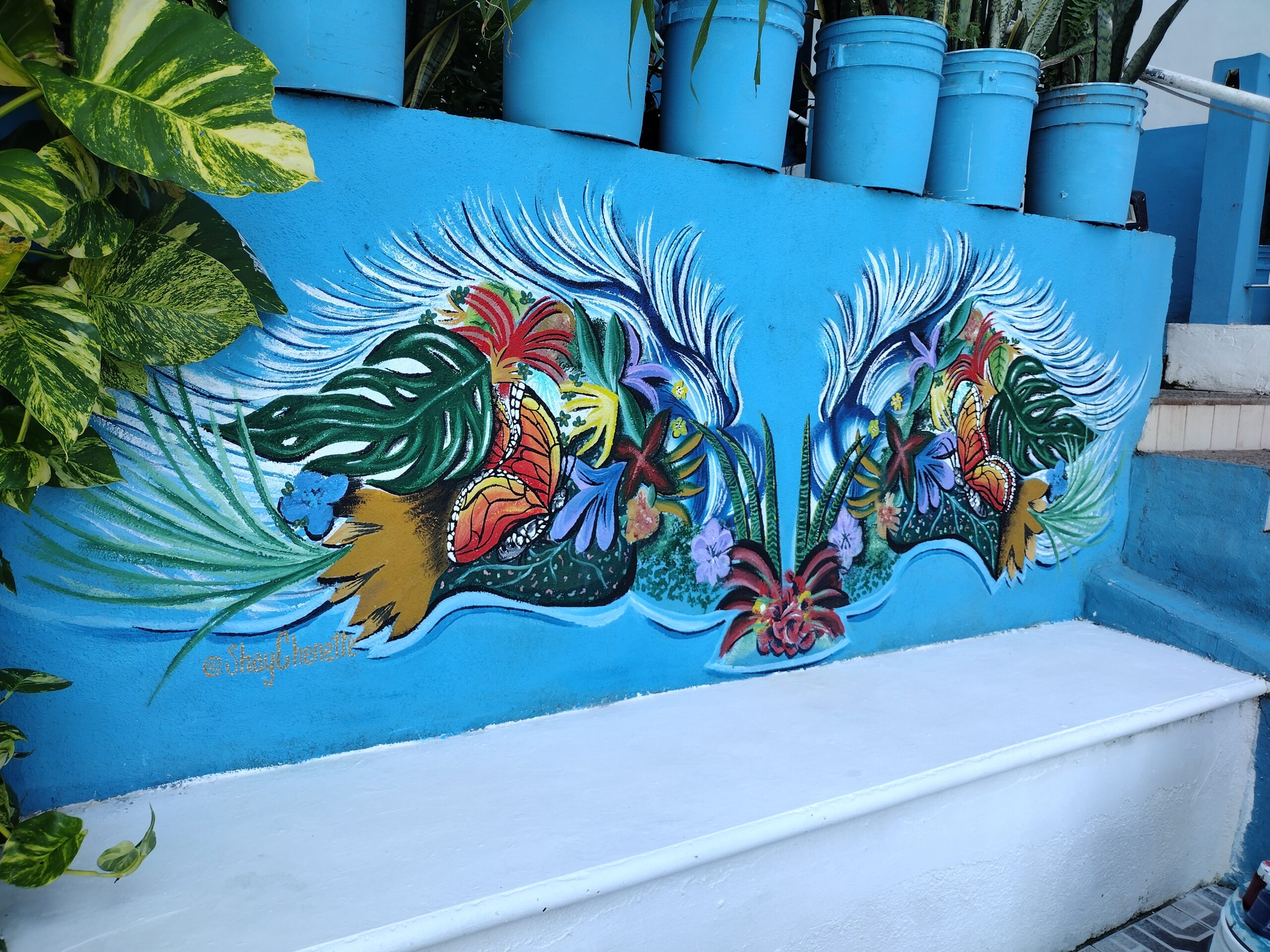 Casa La Vida Es Bella I mural, view 2