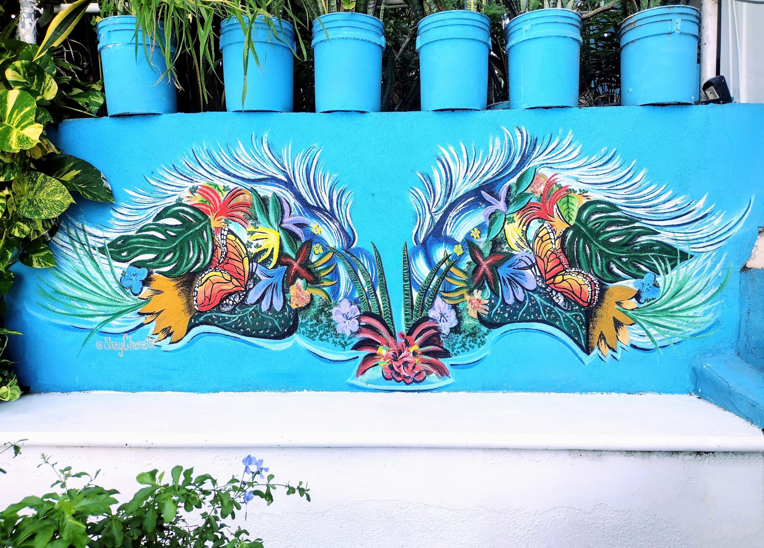 Casa La Vida Es Bella I mural, view 3